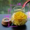 Preserved Real Roses with Colorful Mood Light Wishing Bottle, Eternal Rose, Never Withered Flowers, a Gifts for Women 4.3inch 1pcs (Yellow)